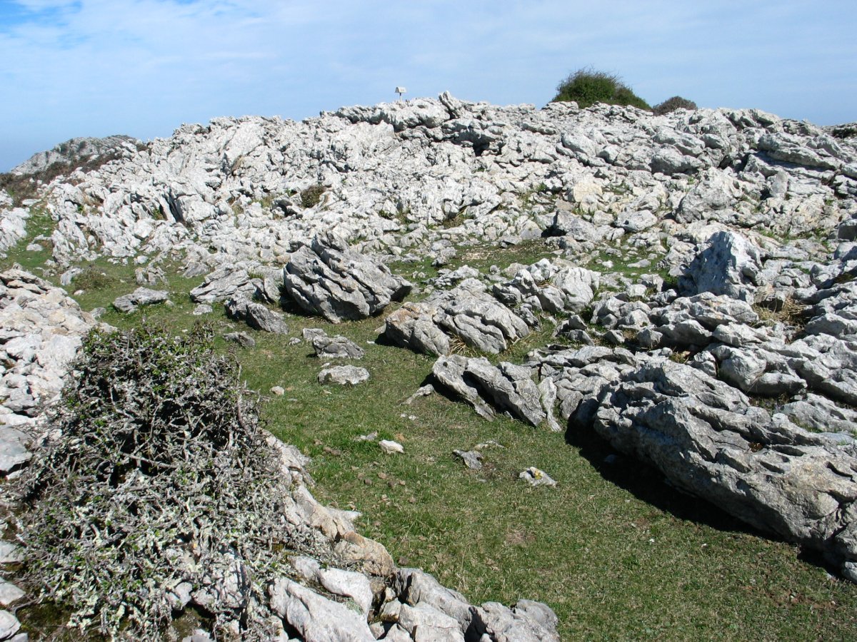 Bernagoitiburu,  tontorra.