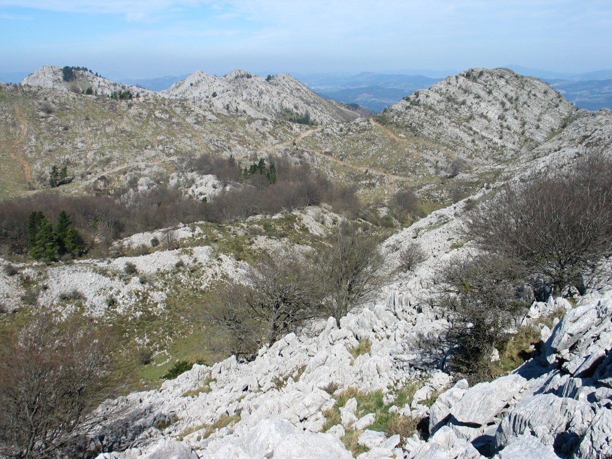 Betzuenburutik mendebalderako ikuspegia