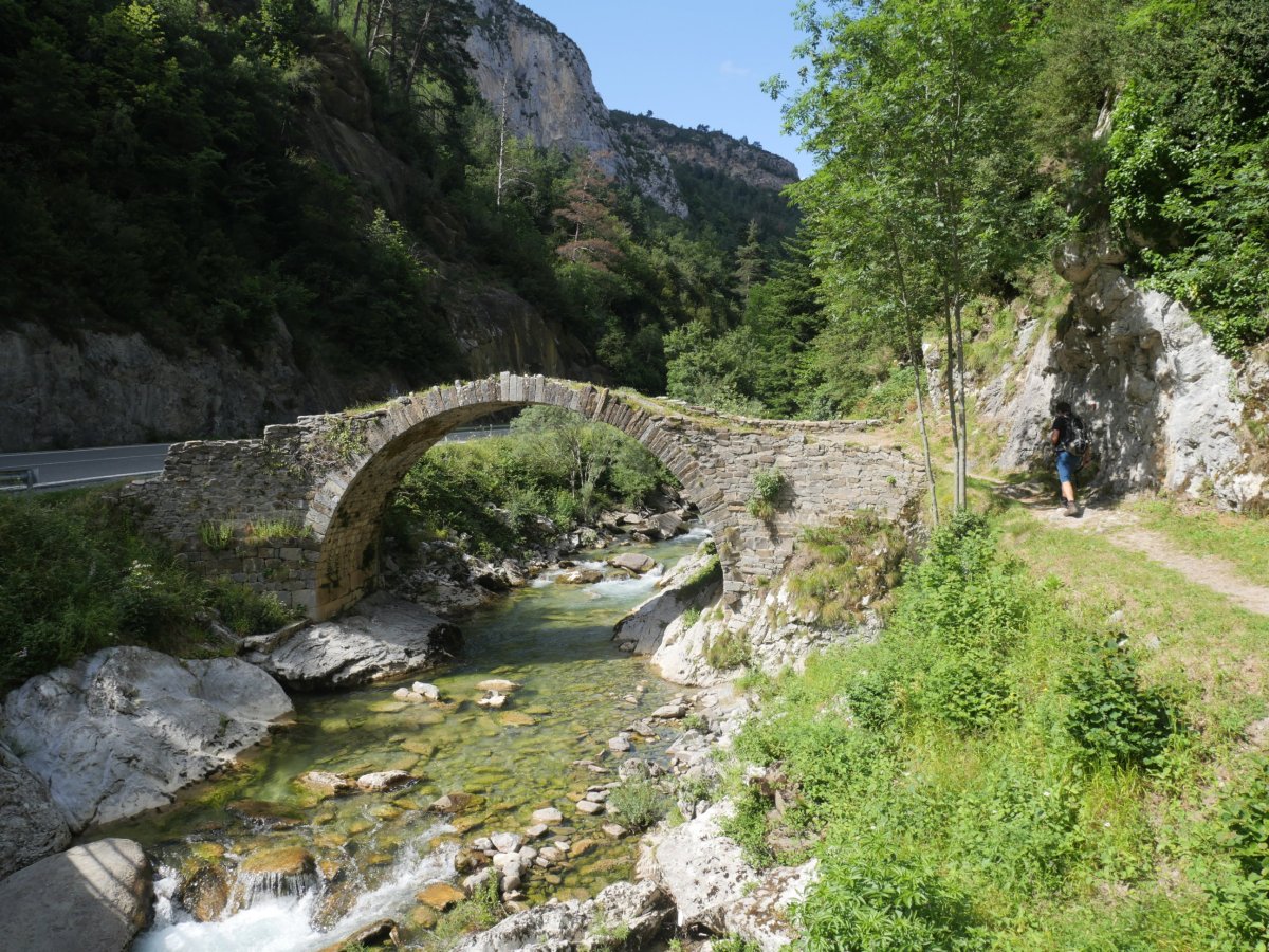 Zubia Belaguako errepidearen bazterrean