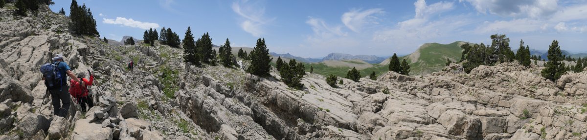 Esqueste aldeko lapiaz kaotikoa, pinu beltzez apaindua