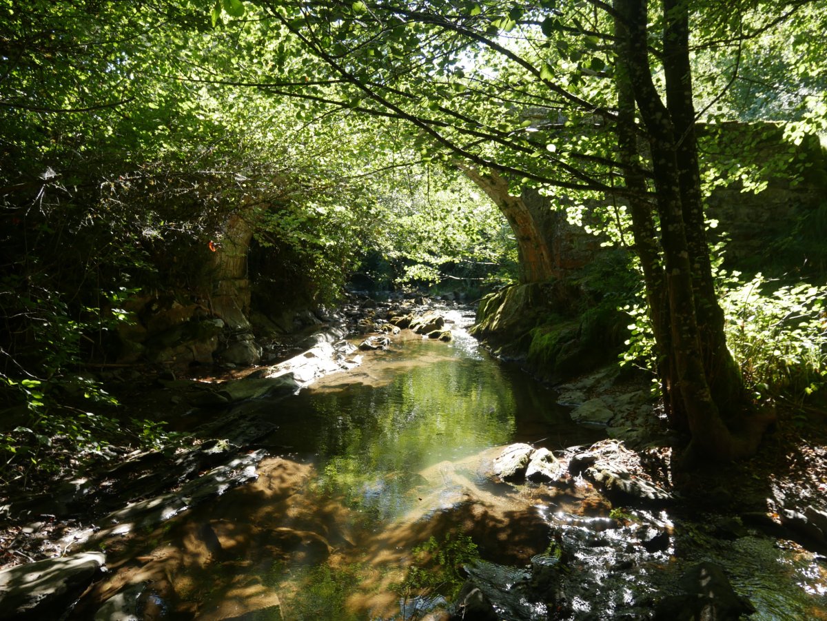 Arrobiko erromatarren zubia