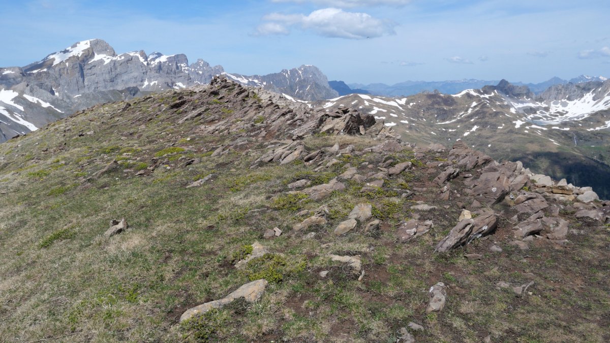 Petraficharen hegoaldeko muturra