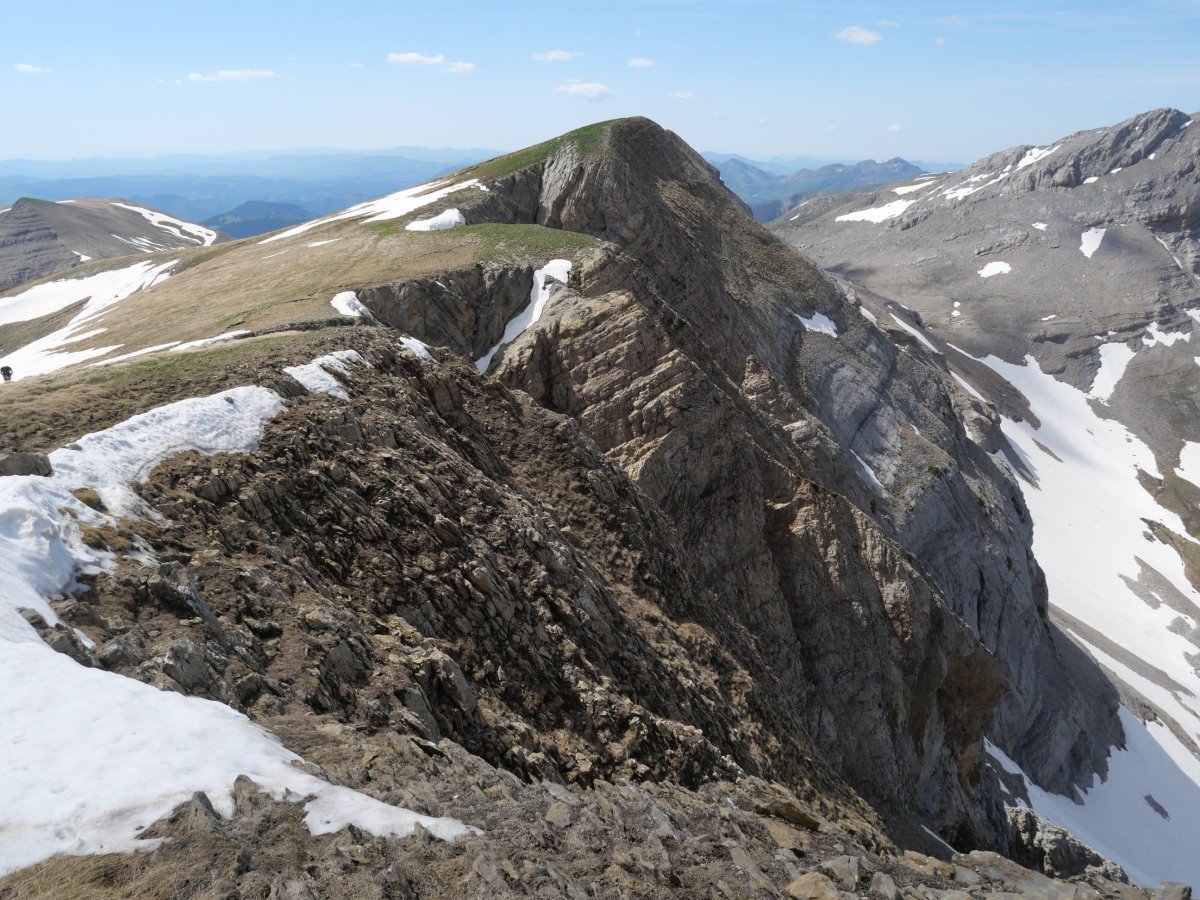 Quimboa Petraficha aldetik ikusita