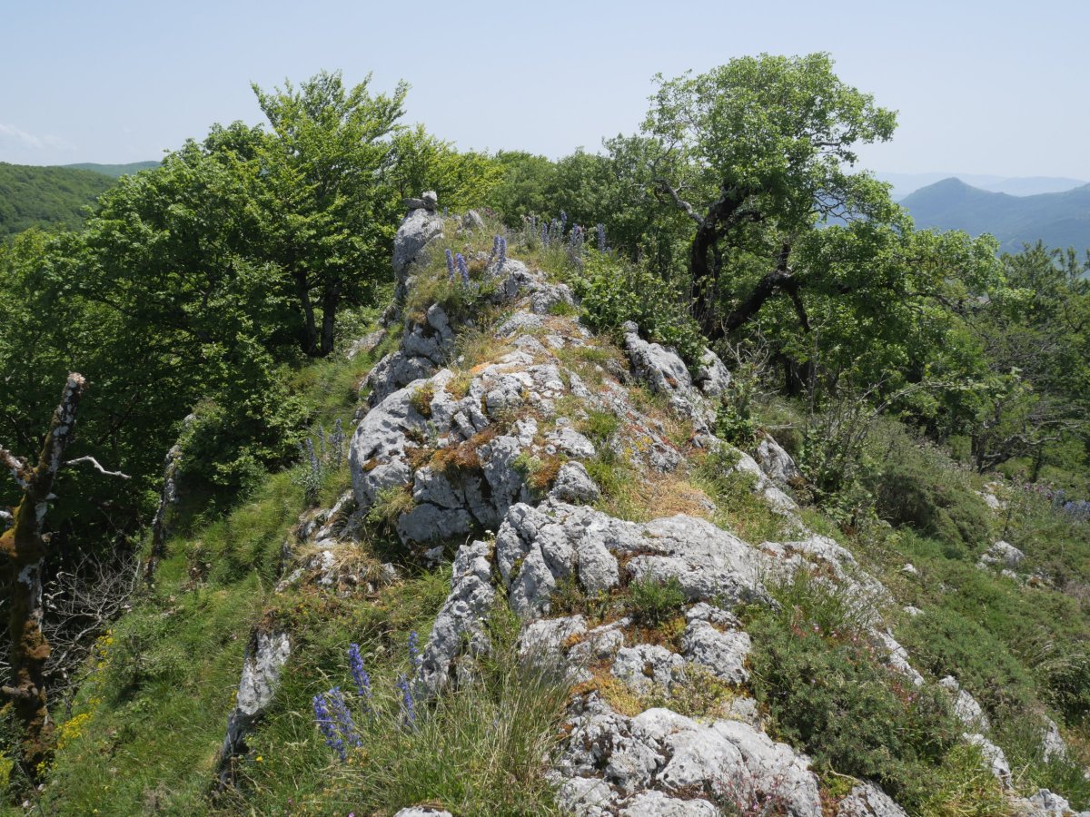 Soiltxiki tontorra mendebaldetik