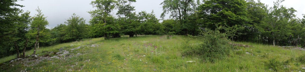 Soilune bat ekialdeko bizkarrean, Gainsoil