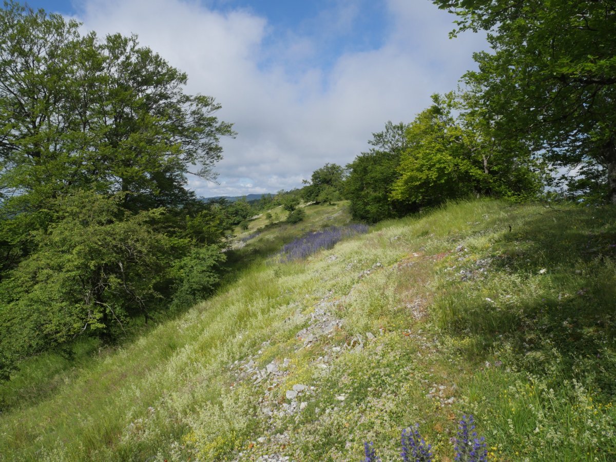 Tontorrera gerturatzen ekialdetik, Gainsoil