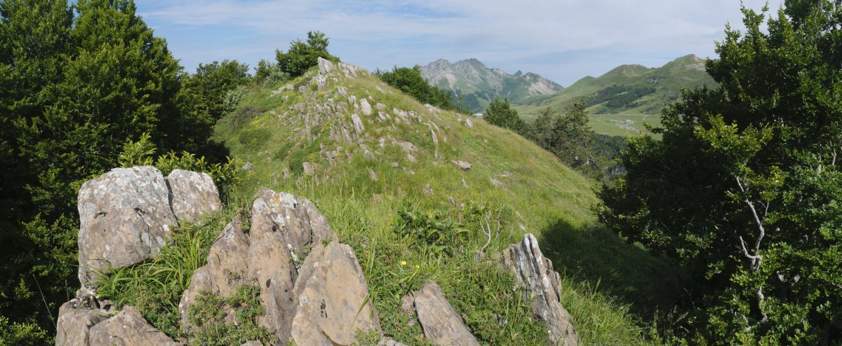 Lazagorria tontorra, ekialdetik