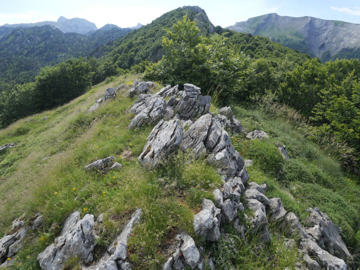 Lazagorria tontorra, atzean Lapazarra duela