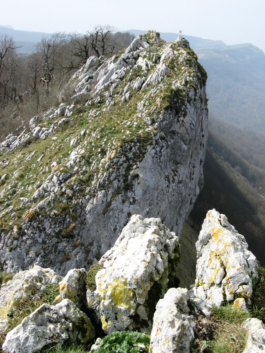 Mendebaldeko gandorra, Araba aldekoa