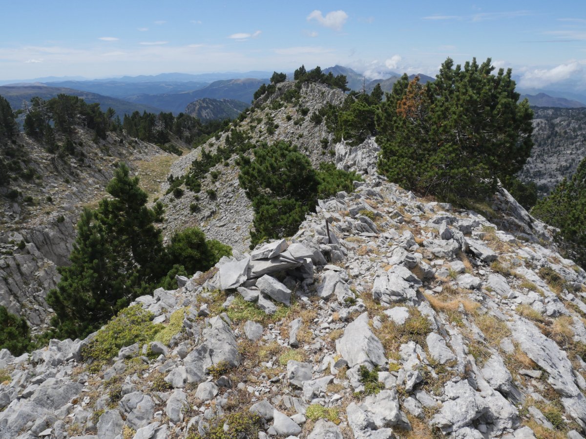 Puntal Alto de Ukerdi tontorra