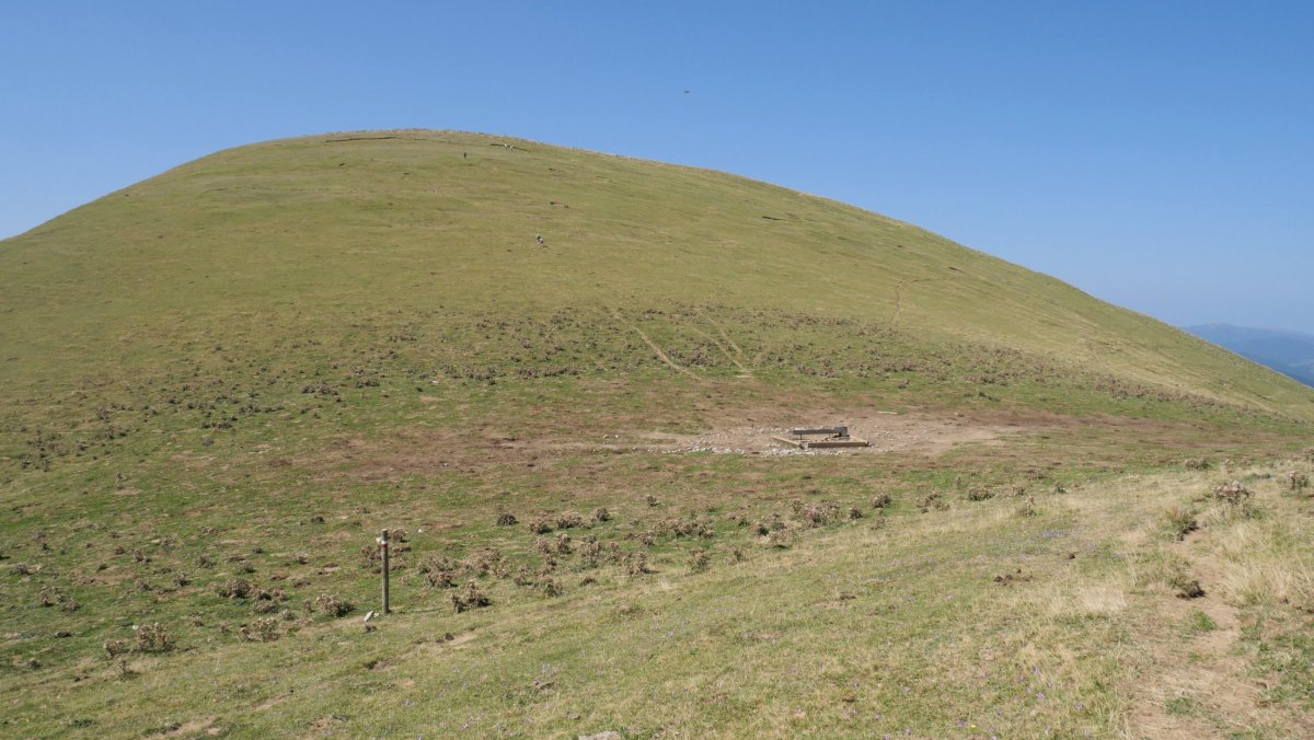 Muxumurru IEko lepotik