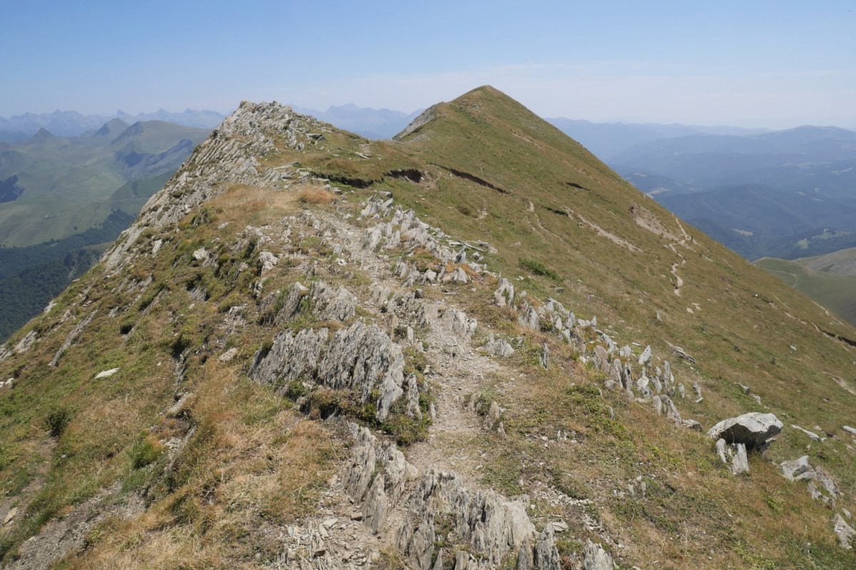 Orhi Txipia Orhi aldeko lepotik