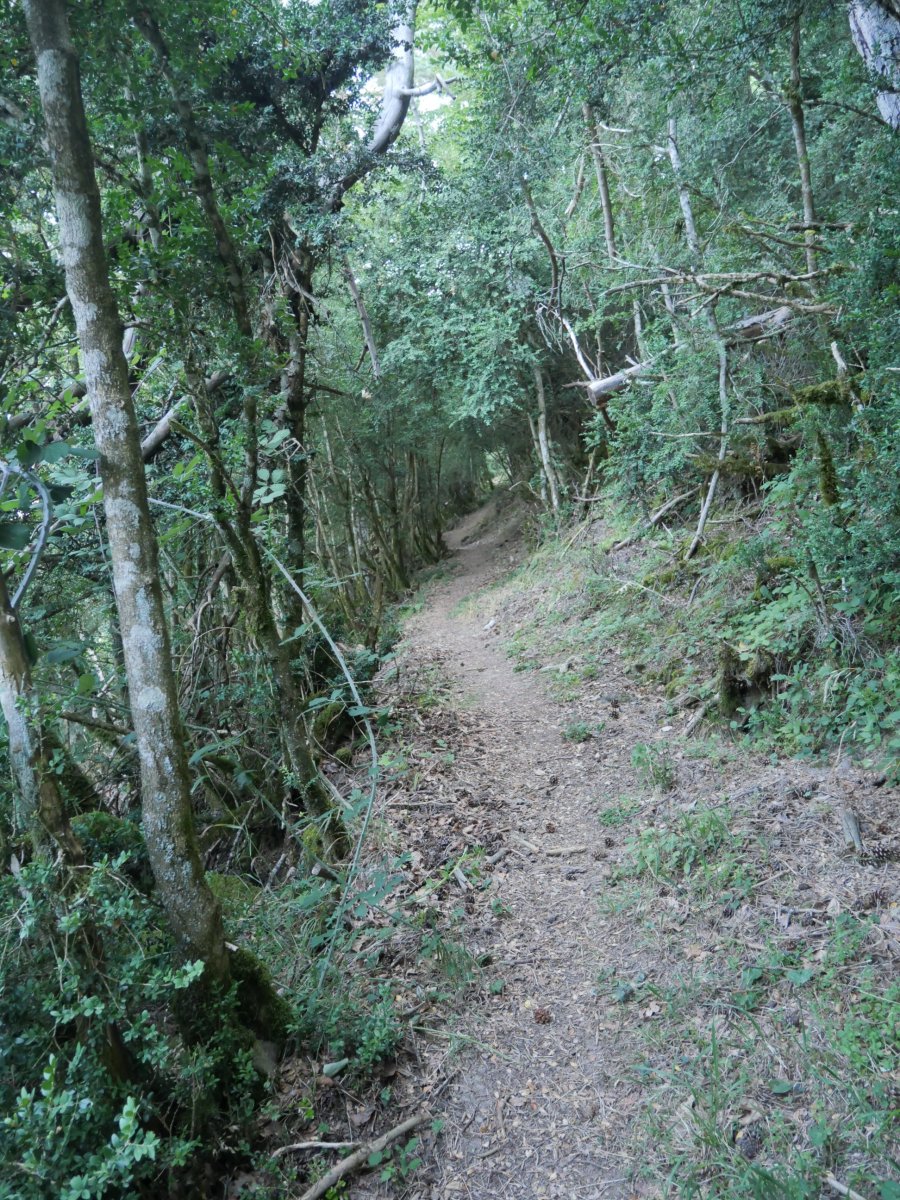 Kontrabandisten pasabidera gerturatzen