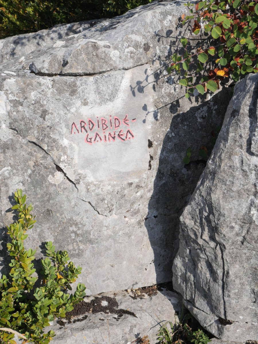 Ardibidegaineko begiratokia