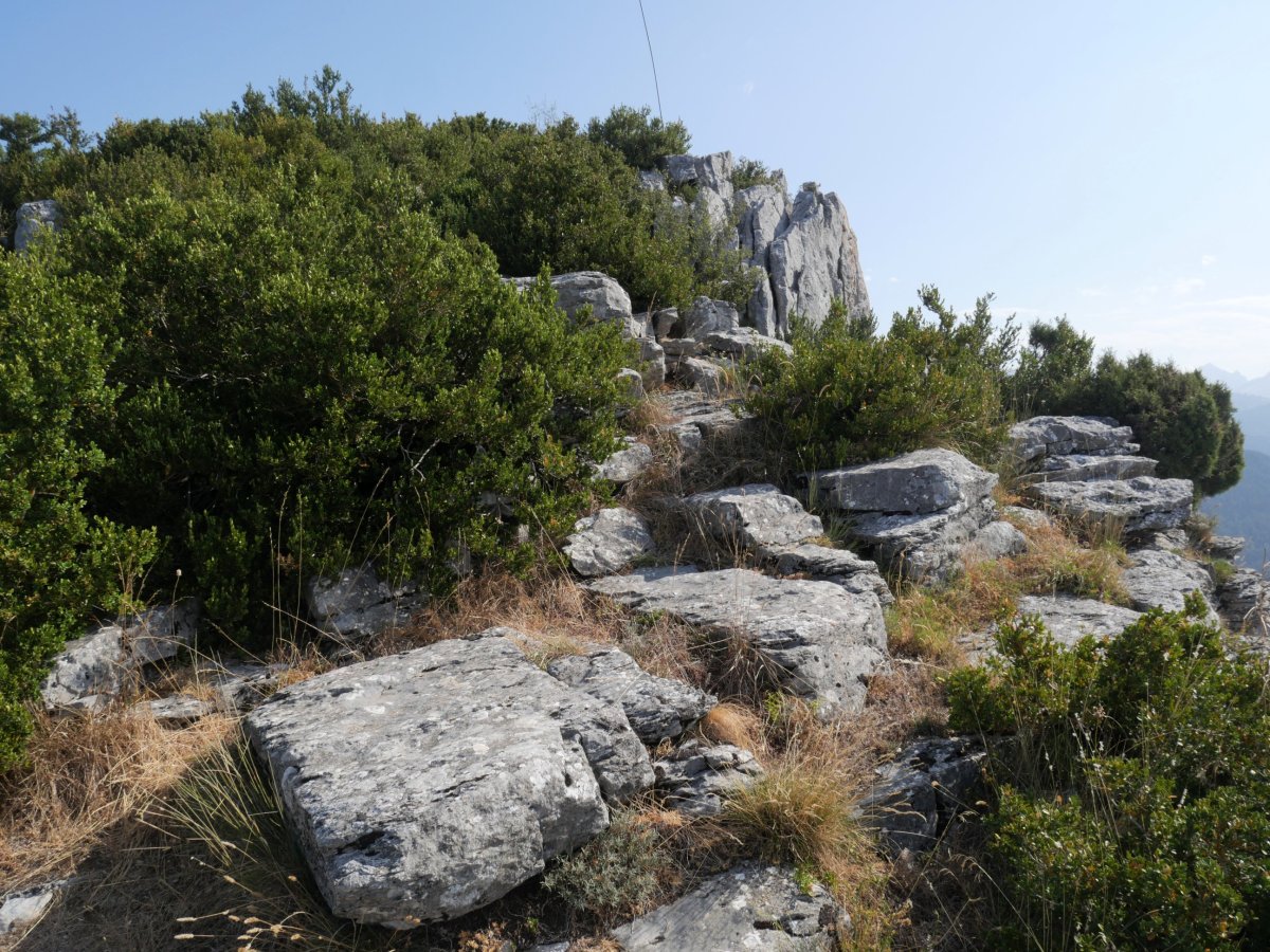 Ardibidegaineko begiratokia