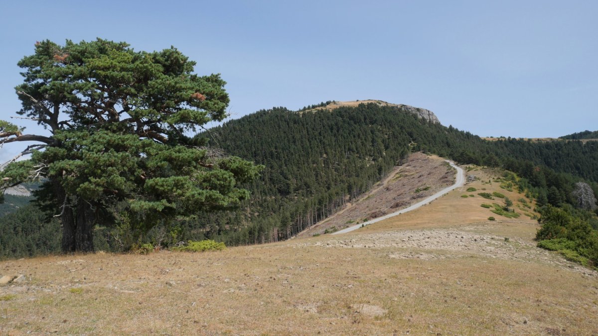 Iñari HMko muino batetik