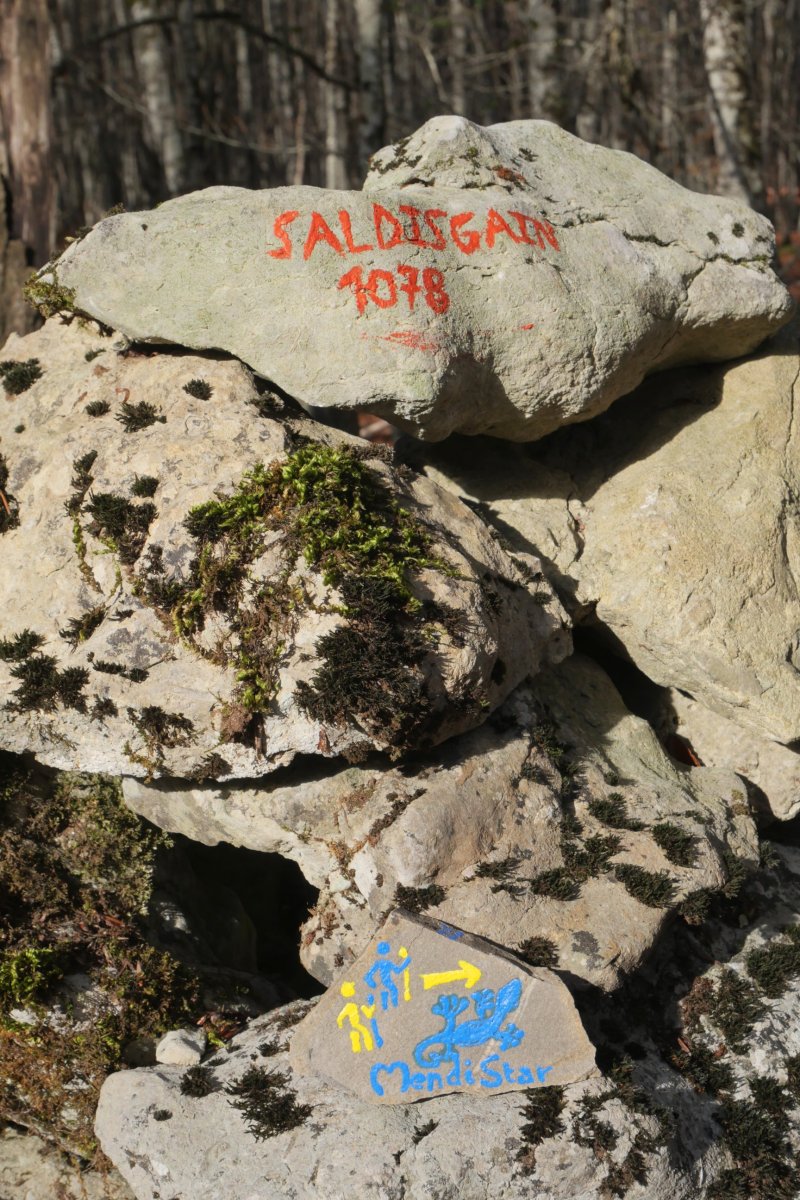 Tontorreko harripila, Saldisgain