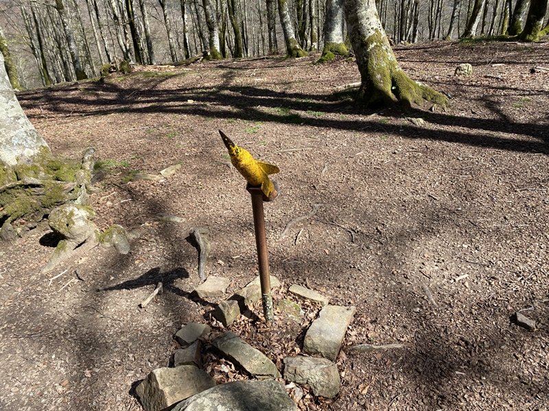 Buzoia Mendebaldeko Tontorran