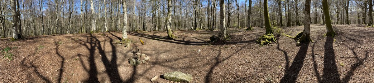 Mendebaldeko Tontorra