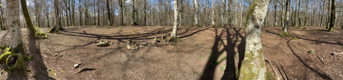 Mendebaldeko Tontorra