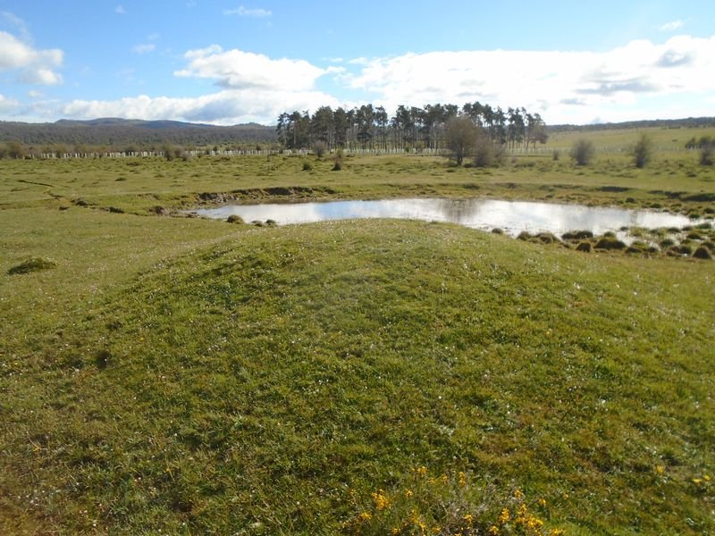 balsas de arratondo 1