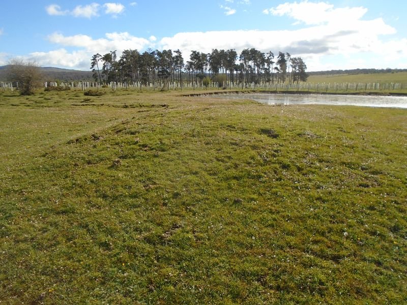 balsas de arratondo 3