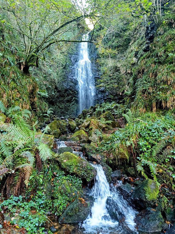 Belaustegi Ur Jauzia