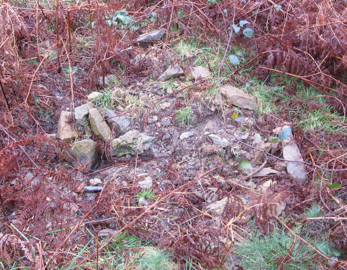 Beibatari tumulua, Berastegi