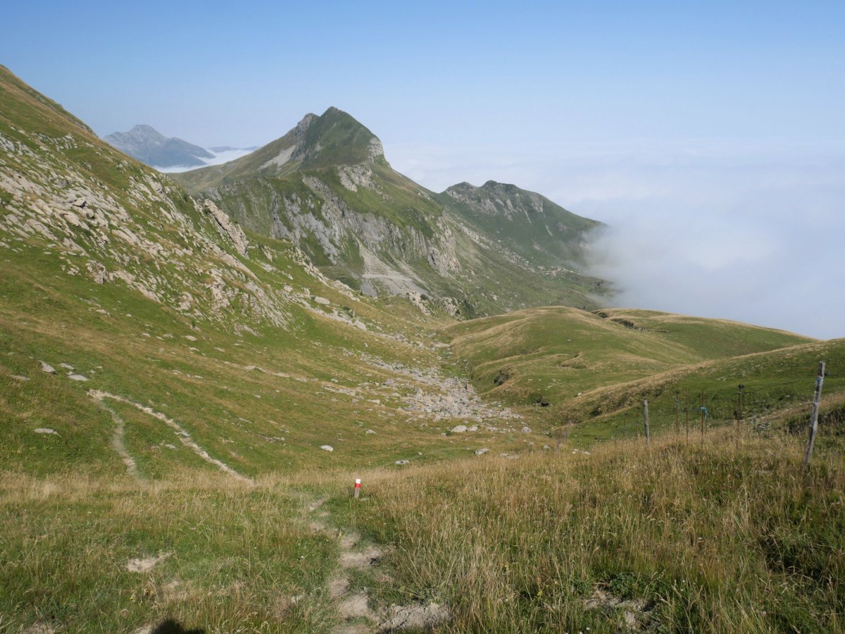 Kartxelako IEko lepoan, Sardekagainari begira