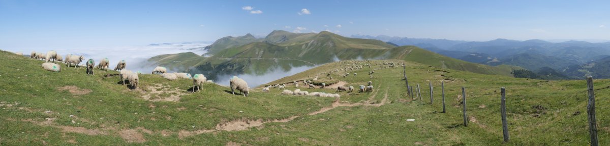 Orbizkaiko Gainetik ekialdera begira