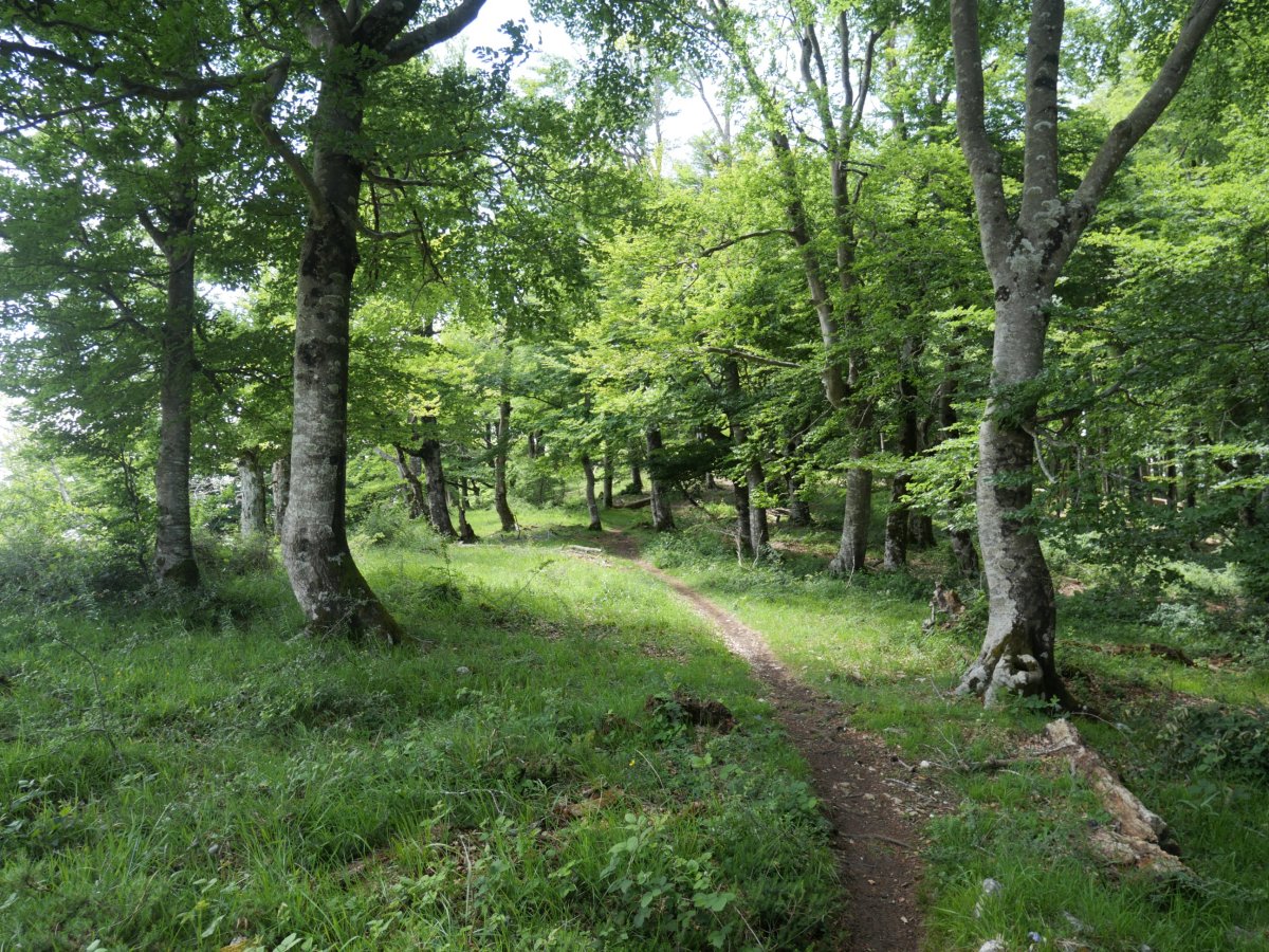 Kapitatera igotzen iparraldeko bizkarrean gora