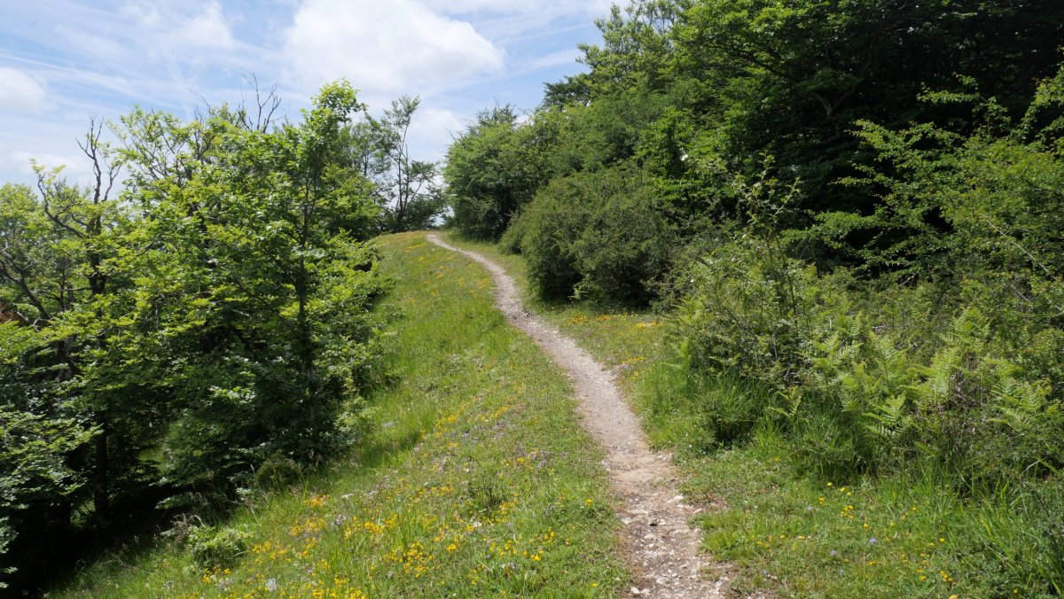 El Sombrerete aldera gerturatzen