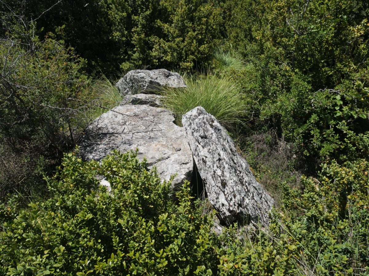 Valdepeña trikuharria 2