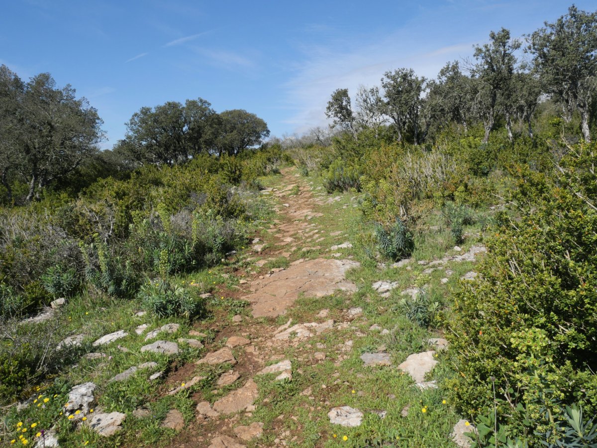 Ekialdeko bizkarreko bidea, Etxauriko Haitza