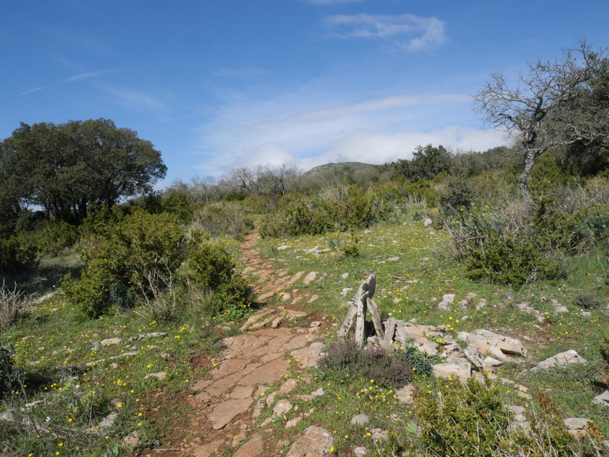 Ekialdeko bizkarreko bidea, Etxauriko Haitza