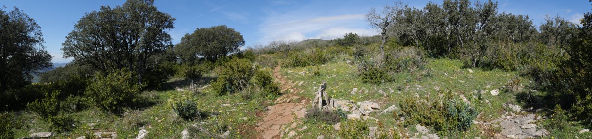 Ekialdeko bizkarreko bidea, Etxauriko Haitza