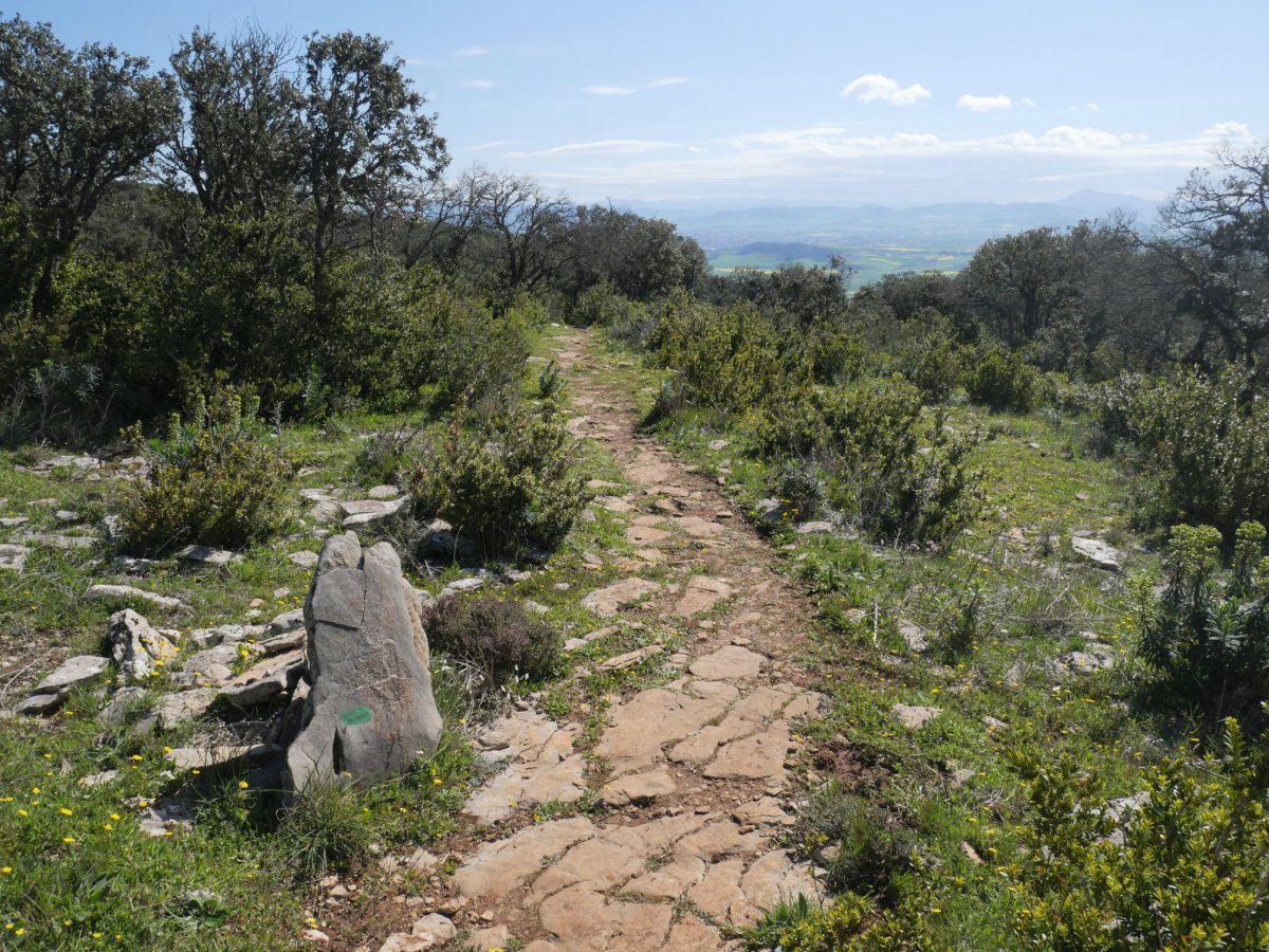 Ekialdeko bizkarreko bidea, Etxauriko Haitza