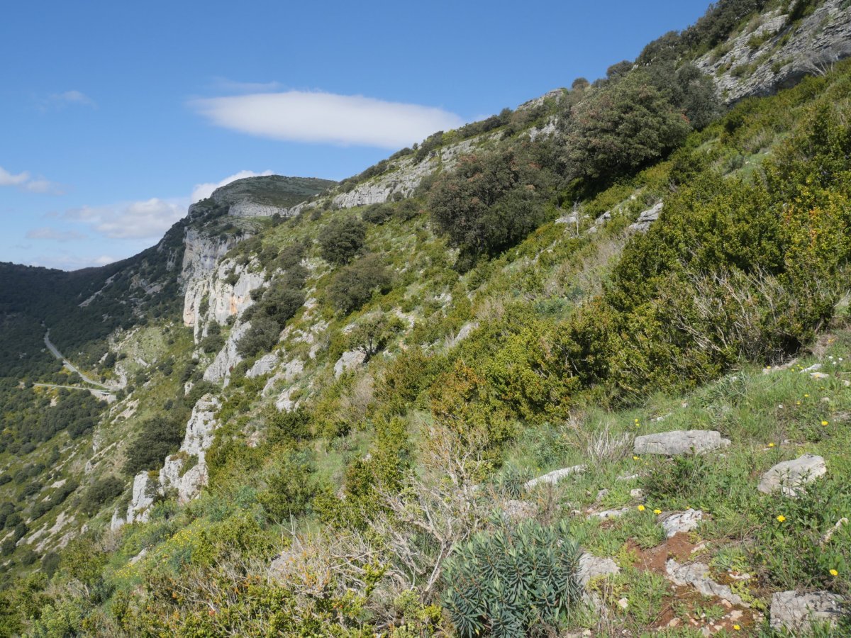 Amildegien arteko hegi honetatik gerturatzen da bidea tontorrera igoeran, Etxauriko Haitza