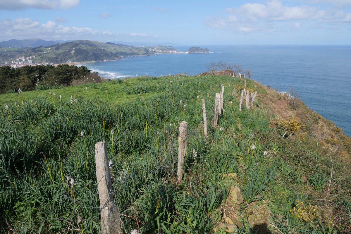 Ameztimendi, Zarautz aldeko bizkarra