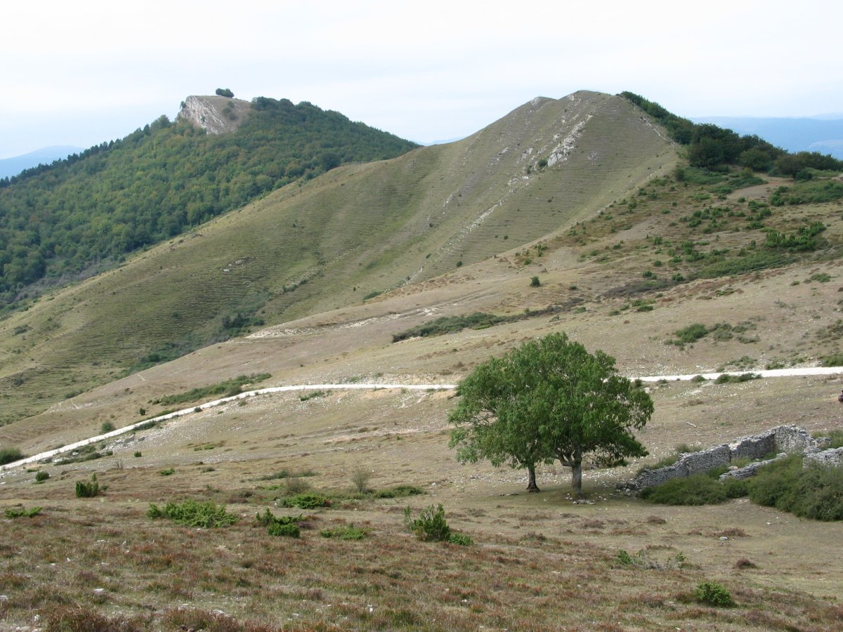 Arriaundu eta Urrutxaga Mintxegi aldetik ikusita