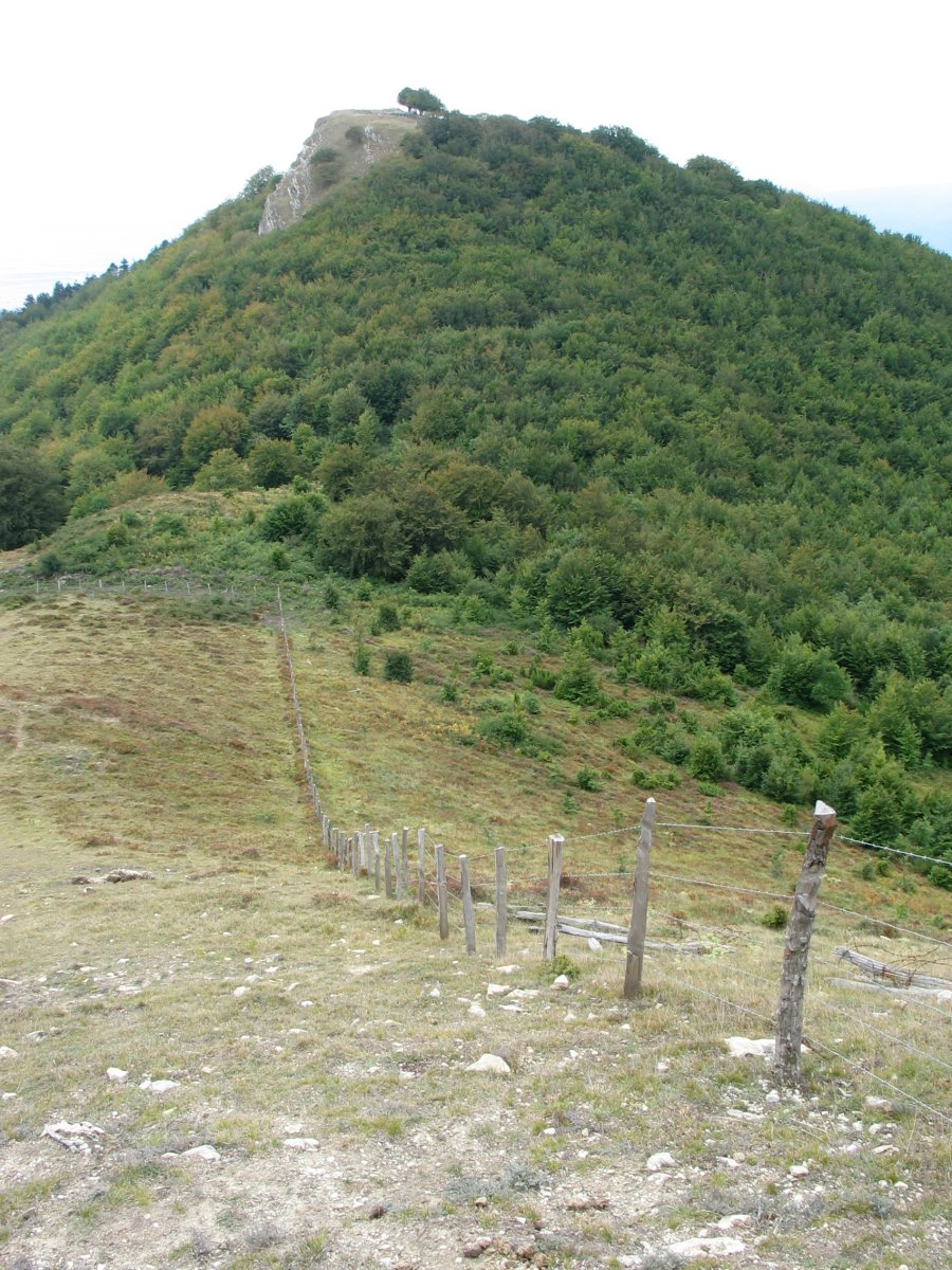 Arriaundi Urrutxaga aldetik ikusita