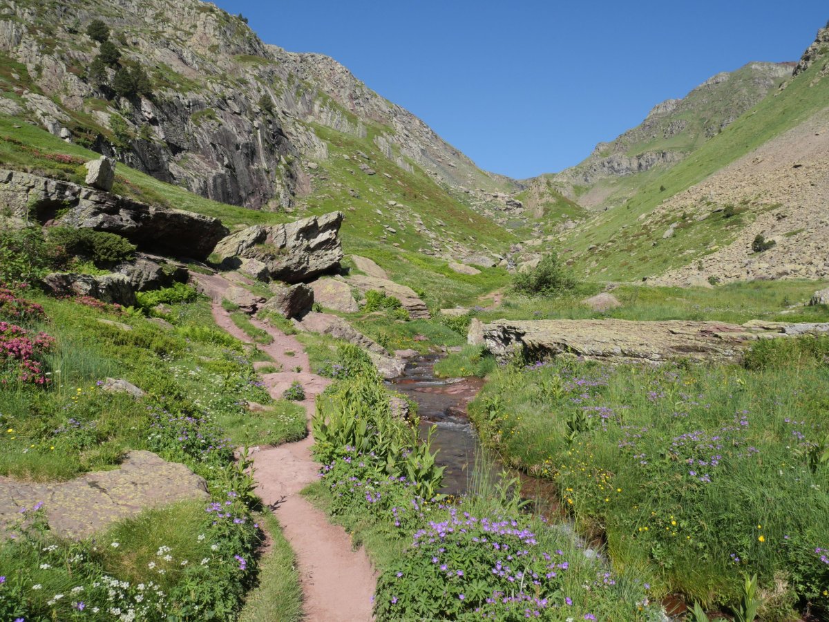 Culivillas sakana ekainaren erdian