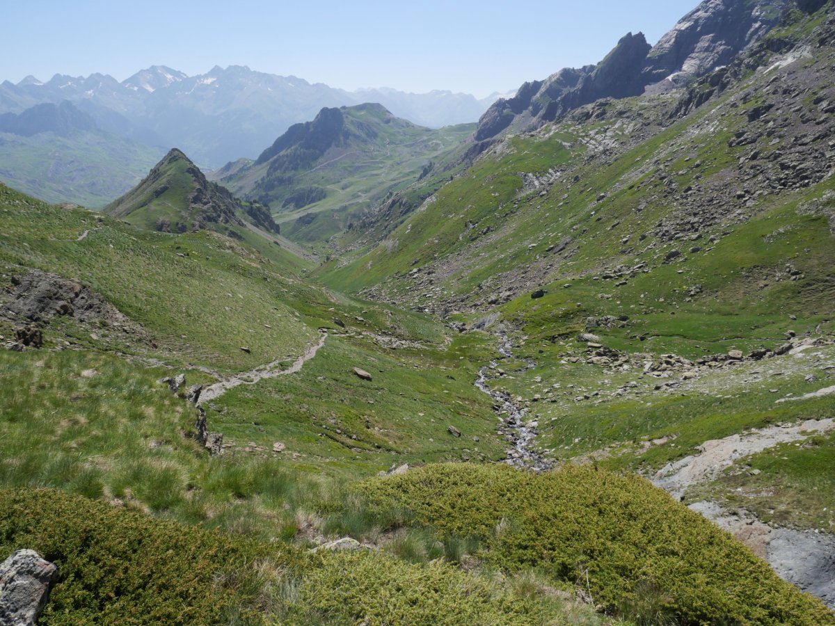 Culivillas sakana bailararen burutik