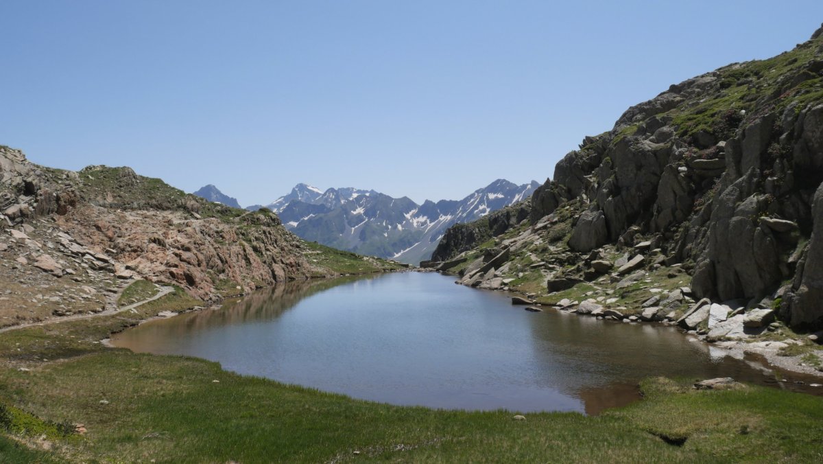 Peyreget lepoko iboi txikia