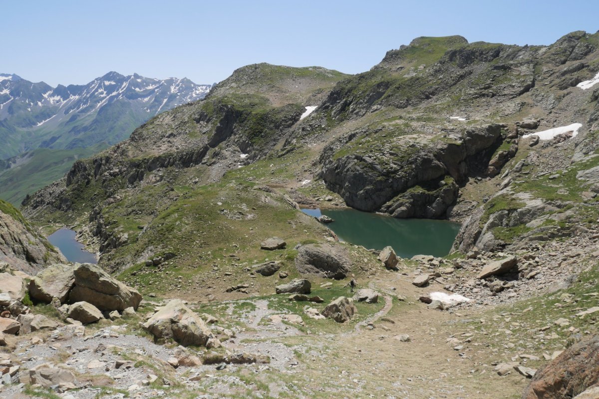 Peyreget lepoko iboi txikia eta handia