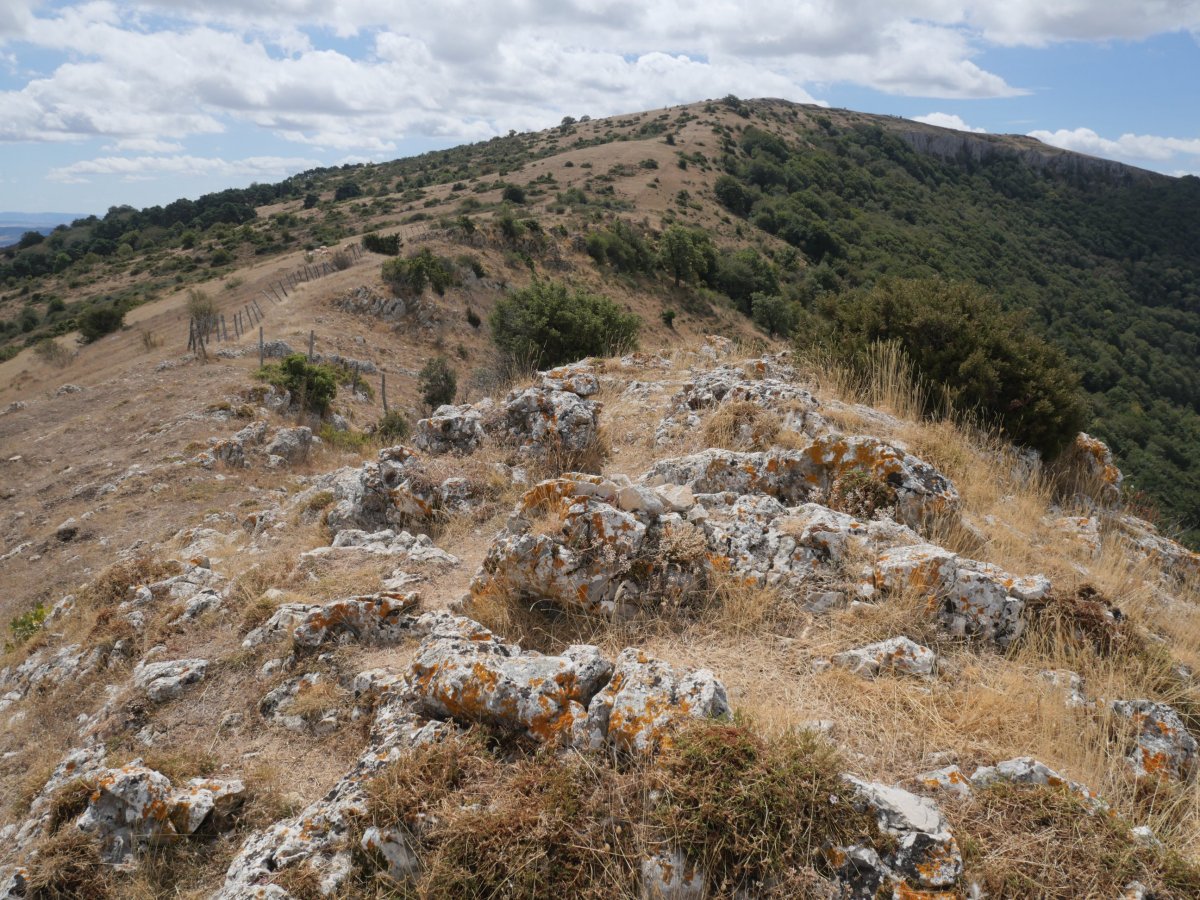 Saldise tontorra aurrean, Mortxe atzean