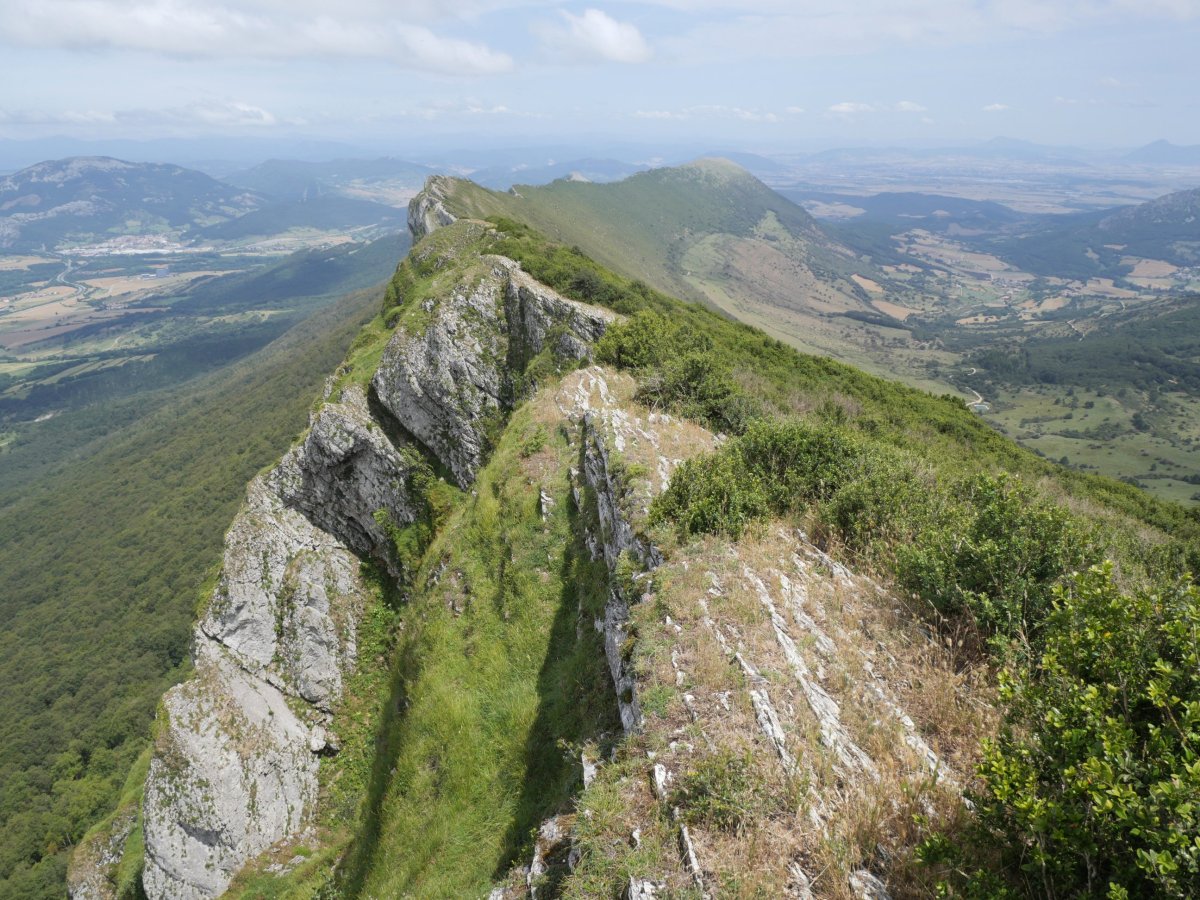 Satrustegi aldeko gandorra