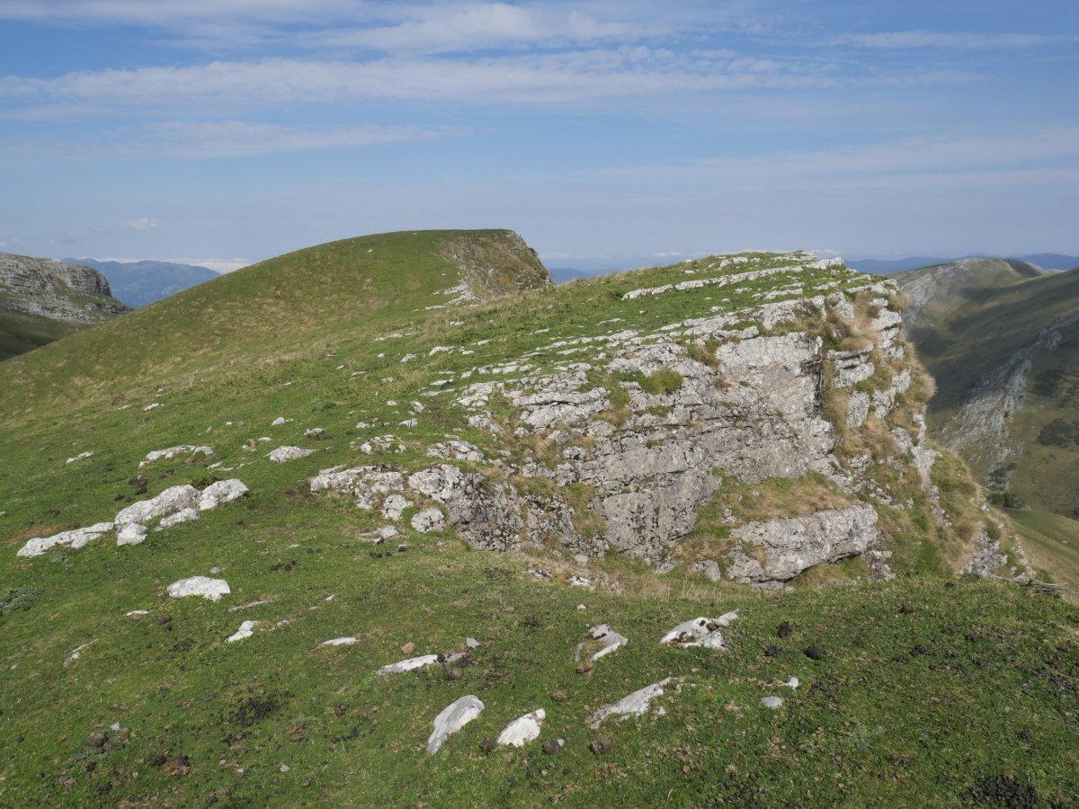 Salingain hegoaldeko bizkarretik