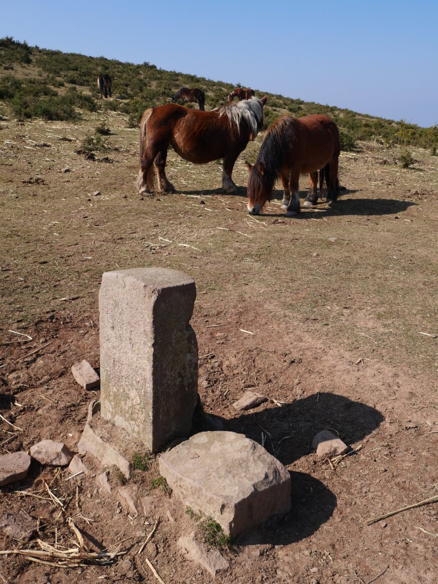 R16 mugarria Erentzazun