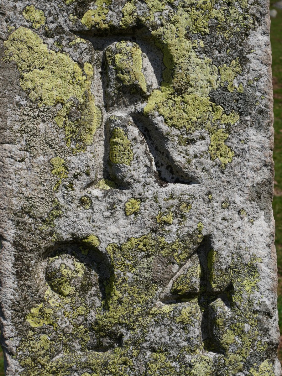 R24 mugarria Larrunen